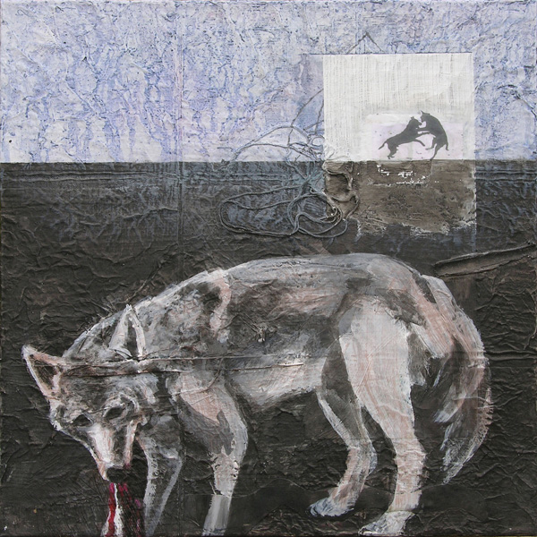 cara walz