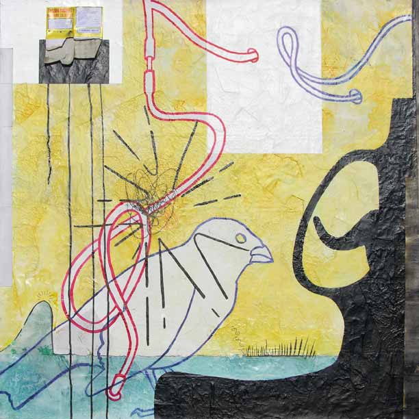 cara walz